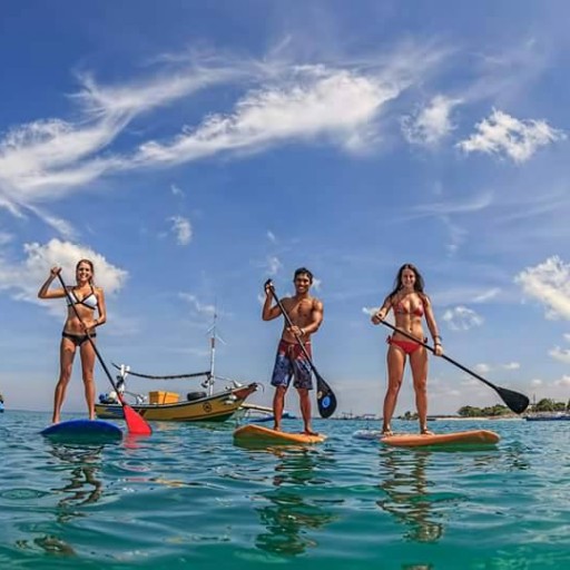 Wide Shot of a Group Paddle Boarding